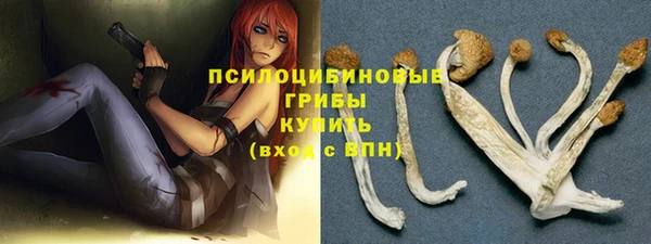 ECSTASY Костерёво