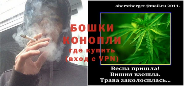 ECSTASY Костерёво