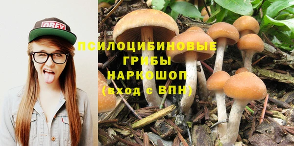 mix Коряжма