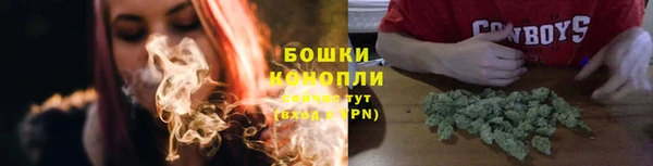 ECSTASY Костерёво